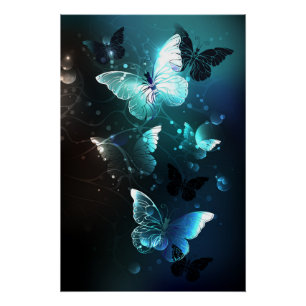 Poster Papillons de nuit