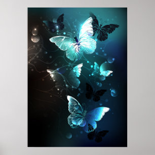 Poster Papillons de nuit