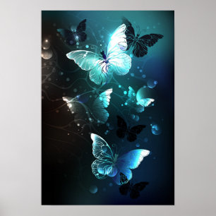 Poster Papillons de nuit