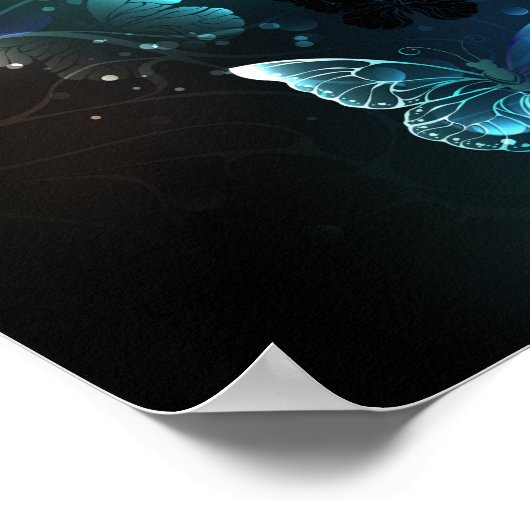 Poster Papillons de nuit (Coin)