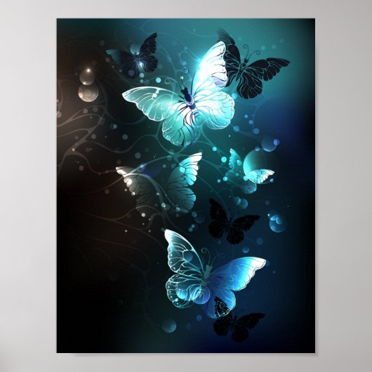 Poster Papillons de nuit (Devant)
