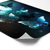 Poster Papillons de nuit (Coin)