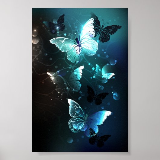 Poster Papillons de nuit (Devant)