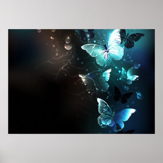Poster Papillons de nuit (Devant)