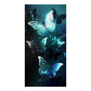 Poster Papillons de nuit à la menthe
