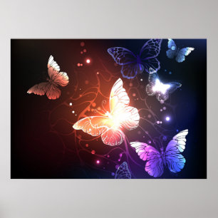 Poster Papillons de nuit lumineux
