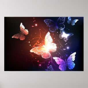 Poster Papillons de nuit lumineux