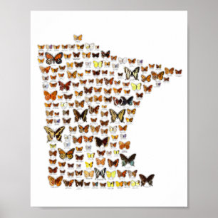 Poster Papillons du Minnesota