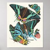 Poster Papillons | Emile-Allain Séguy (Devant)