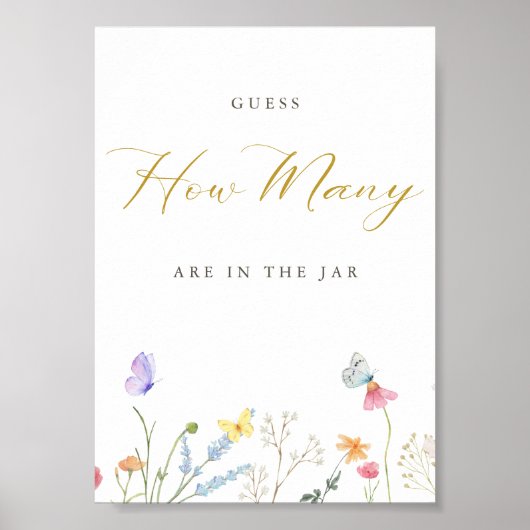 Poster Papillons Enchantés Devine Combien (Devant)