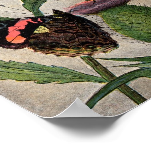 Poster Papillons et chardon (Coin)