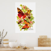 Poster Papillons et coléoptères (Cuisine)