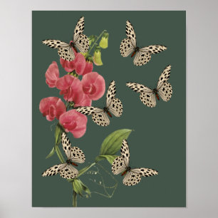 Poster Papillons Et Fleur De Pois Doux