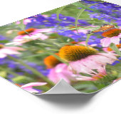 Poster Papillons et marguerites (Coin)