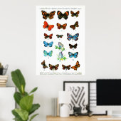 Poster Papillons européens (Plaque 06) (Bureau à domicile)