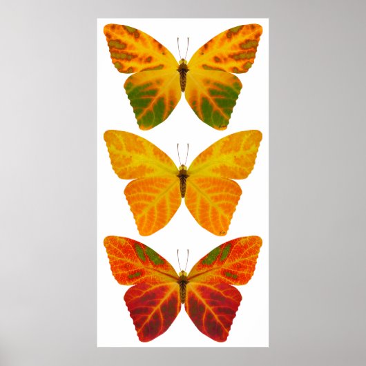 Poster Papillons feuille Aspen (Devant)