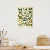 Poster Papillons illustrés vintages (Cuisine)