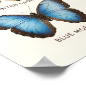 Poster Papillons Incroyables Éducatif (Coin)