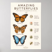 Poster Papillons Incroyables Éducatif (Devant)