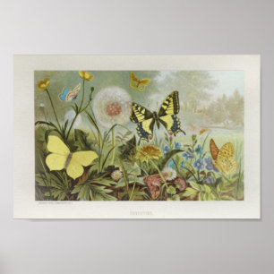 Poster Papillons jaunes sur les fleurs Art Vintage Imprim