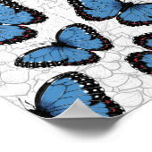 Poster Papillons morpho bleu (Coin)