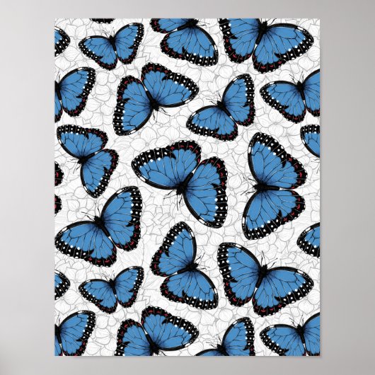 Poster Papillons morpho bleu (Devant)