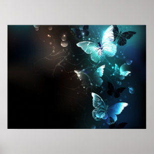 Poster Papillons nocturnes