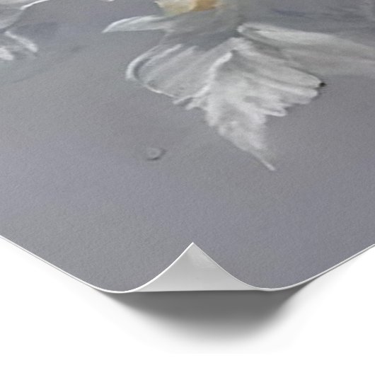 Poster Papillons Noir Et Blanc Sur Fleurs Blanches, (Coin)