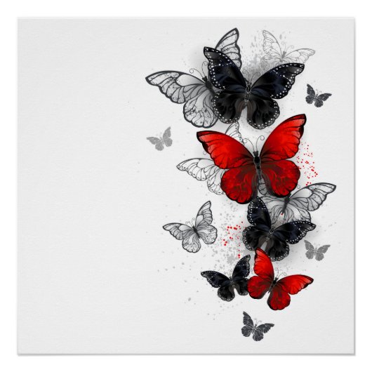 Poster Papillons noirs et rouges volants (Devant)