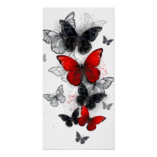 Poster Papillons noirs et rouges volants (Devant)