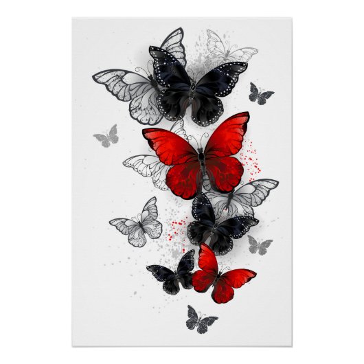 Poster Papillons noirs et rouges volants (Devant)