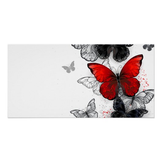 Poster Papillons noirs et rouges volants (Devant)