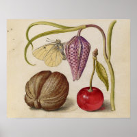 Papillons noix Fleur Cerisier Aquarelle Art