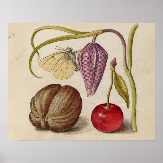 Poster Papillons noix Fleur Cerisier Aquarelle Art (Devant)