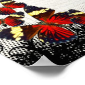 Poster Papillons rouges sur dentelle noire (Coin)