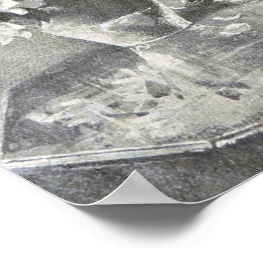 Poster Papillons, Vase à fleurs, Chat, Louis Wain (Coin)