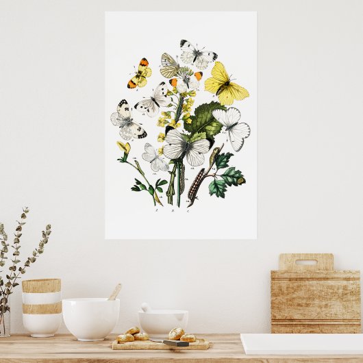 Poster Papillons vintages (Cuisine)