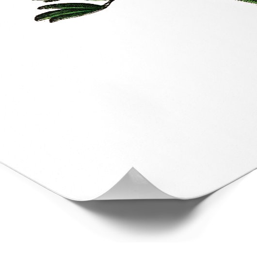 Poster Papillons vintages (Coin)