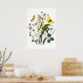 Poster Papillons vintages (Cuisine)