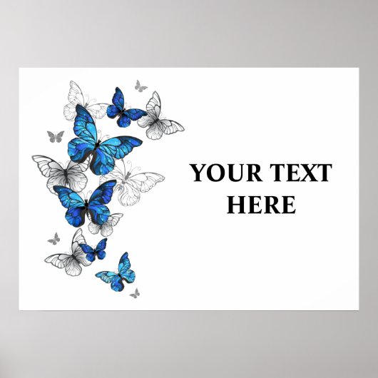 Poster Papillons volants bleus Morpho (Devant)