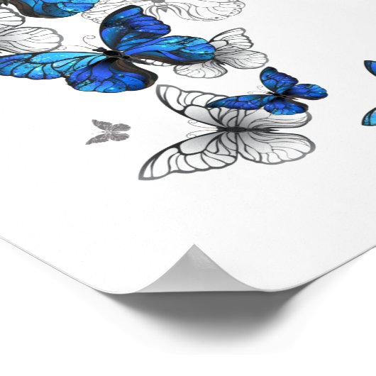 Poster Papillons volants bleus Morpho (Coin)