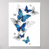 Poster Papillons volants bleus Morpho (Devant)