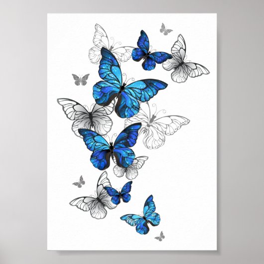 Poster Papillons volants bleus Morpho (Devant)