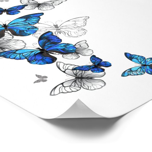 Poster Papillons volants bleus Morpho (Coin)