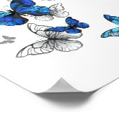Poster Papillons volants bleus Morpho (Coin)