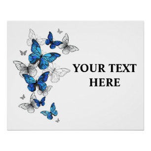 Poster Papillons volants bleus Morpho