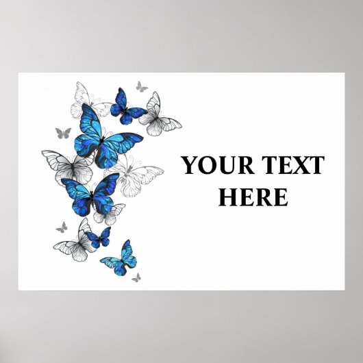 Poster Papillons volants bleus Morpho (Devant)