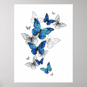 Poster Papillons volants bleus Morpho