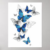 Poster Papillons volants bleus Morpho (Devant)