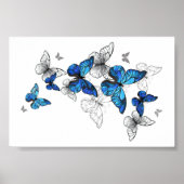Poster Papillons volants bleus Morpho (Devant)